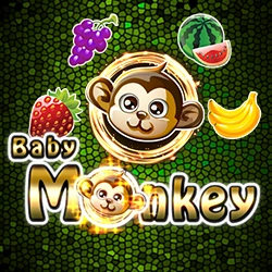 Baby Monkey